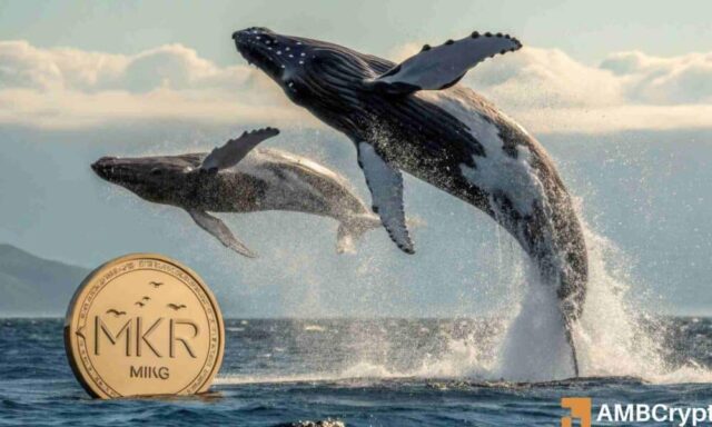 maker-pump-8-as-mkr-whales-jump-to-sky-staking-details.jpg Maker pump 8% as MKR whales jump to SKY staking – Details