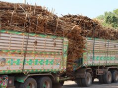 Balrampur Chini’s Avantika Saraogi says India’s first PLA bioplastics plant to start operations by October 2026 Balrampur Chini’s Avantika Saraogi says India’s first PLA bioplastics plant to start operations by October 2026